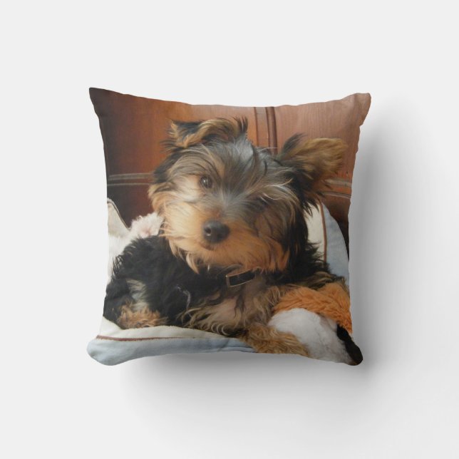 Personality Plus Yorkie Cushion (Front)