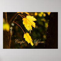 Personalizable Carpe Diem with colourful leaf Post