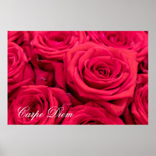 Personalizable Carpe Diem with red roses Poster