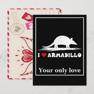 Personalize Armadillo Silhouettes: Custom Designs Holiday Postcard