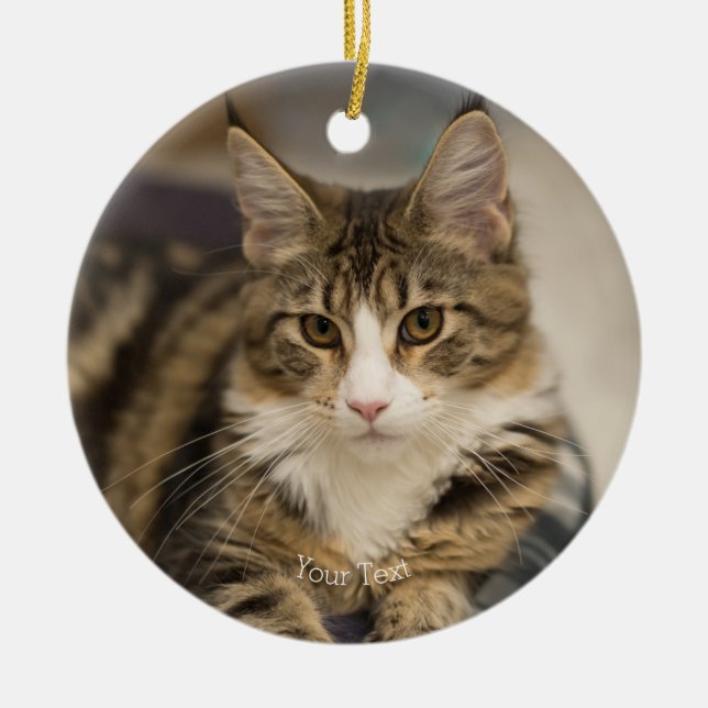 Personalize Cute Maine Coon kitten straight look Ceramic Tree Decoration (Front)