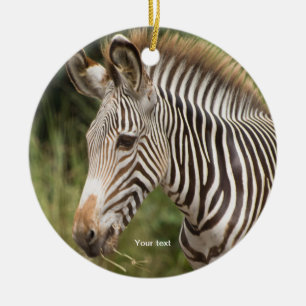 Personalize Juvenile Zebra Ceramic Tree Decoration