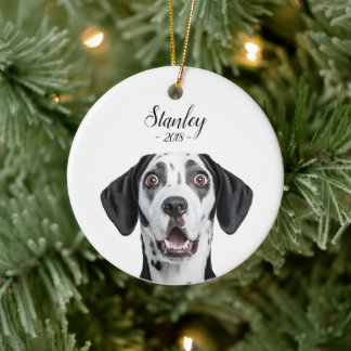 personalize pet name & picture ceramic tree decoration
