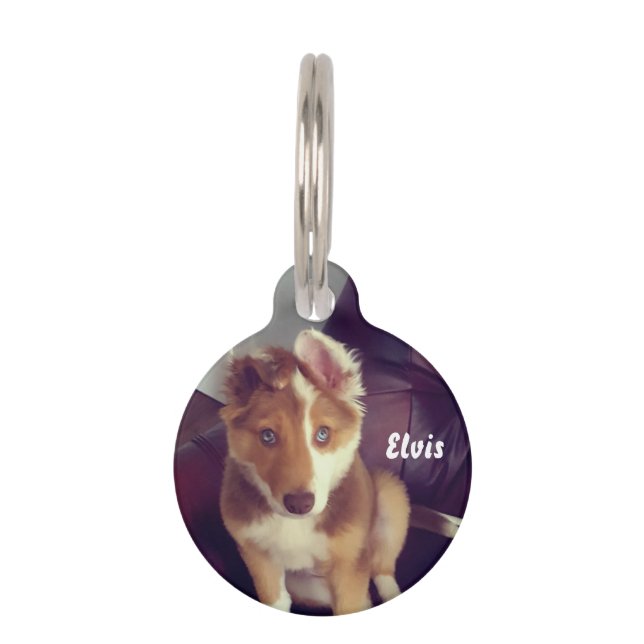 Personalize your own pet tag (Front)