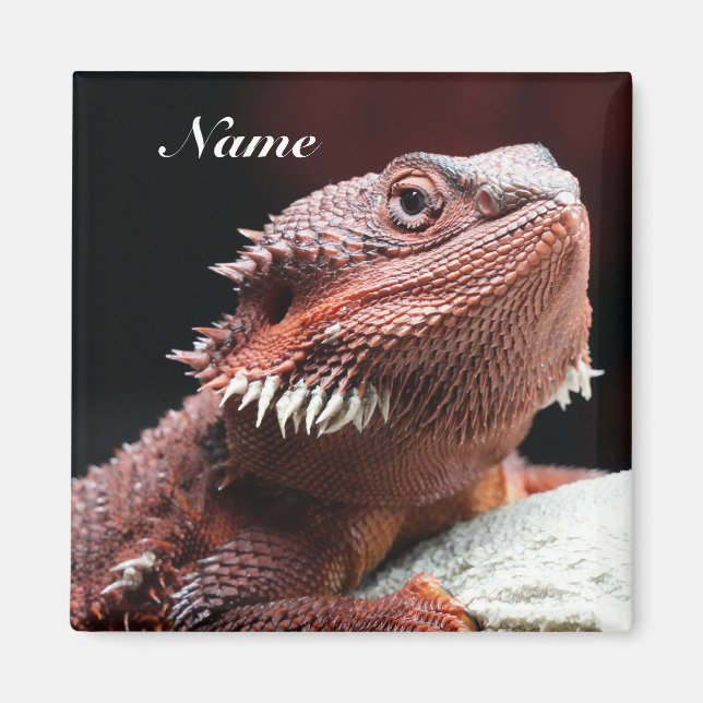 Personalized Adult Red Bearded Dragon Lizard Magnet (Front)