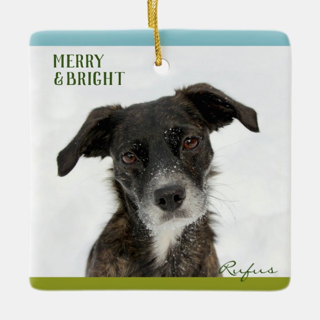 Personalized Best Dog or Puppy Photo Picture Name Ceramic Ornament (Front)