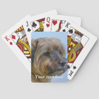 Personalized Border Terrier