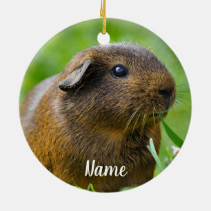 Personalized Brown Guinea Pig Ceramic Tree Decoration
