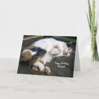 Personalized Calico cat curled up decking Birthday