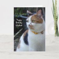 Personalized Calico cute cat Birthday