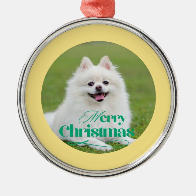 Personalized Christmas Ornament (Front)