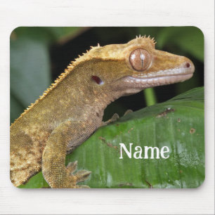 Personalized Crested Gecko Pet Lizard Mouse Pad
