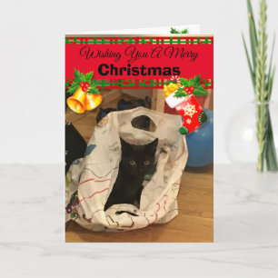 Personalized Custom Cat Christmas Photo Cards