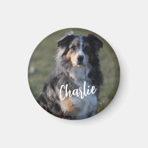 Personalized Custom Pet Dog Photo Magnet