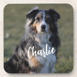 Personalized Custom Pet Dog Photo Pillow Coaster