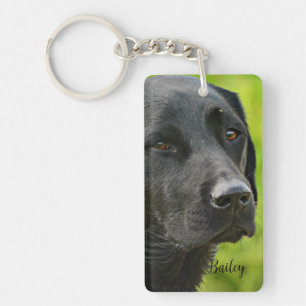 Personalized Custom Pet  Photo and Name Key Ring