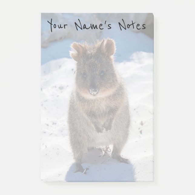 Personalized Cute & Happy Quokka on the Beach Post-it Notes (Front)