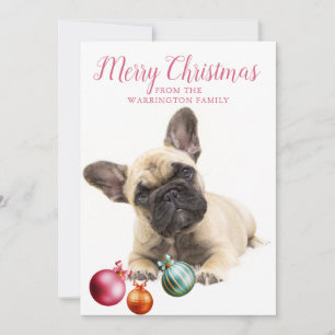 Personalized Dog Holiday   French Bulldog Card