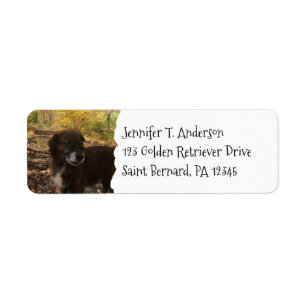 Personalized Dog Pet Photo Return Address