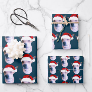 Personalized Dog Photo Blue Christmas Wrapping Paper Sheet