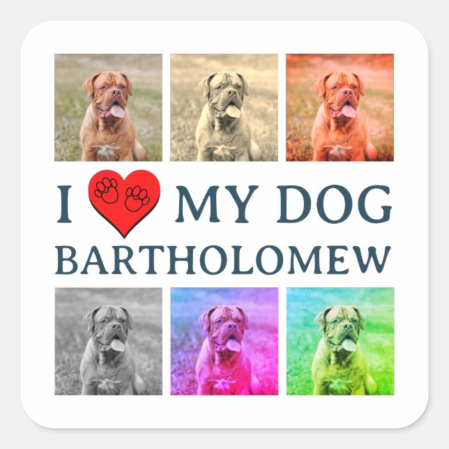 Personalized Dog Pop Art Pet Lover Gift Square Sticker (Front)