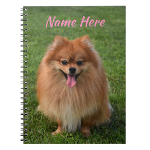 Personalized Fluffy Brown Pomeranian Dog Notebook
