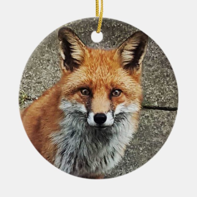personalized Fox Ceramic Tree Decoration (Front)