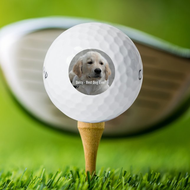 Personalized Golden Retriever Dog Photo and Name Golf Balls (Creator Uploaded)