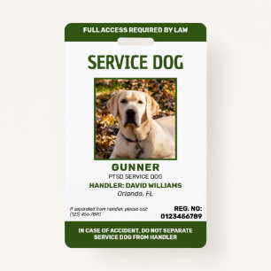 Personalized Green White Service Dog Photo ID Badg ID Badge