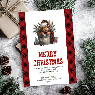 Personalized highland cow Christmas greeting Holiday Card