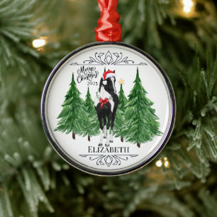 Personalized Horse Christmas Ornament Keepsake