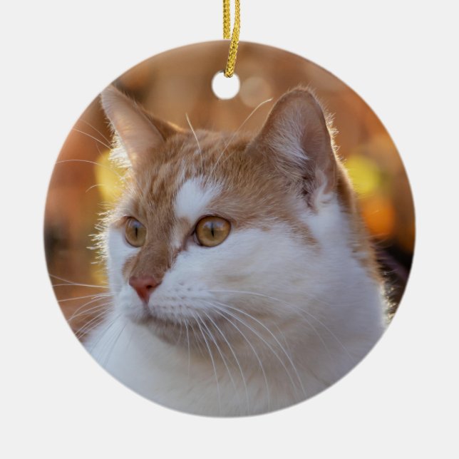Personalized Kitty Cat Photo Ceramic Tree Decoration (Front)