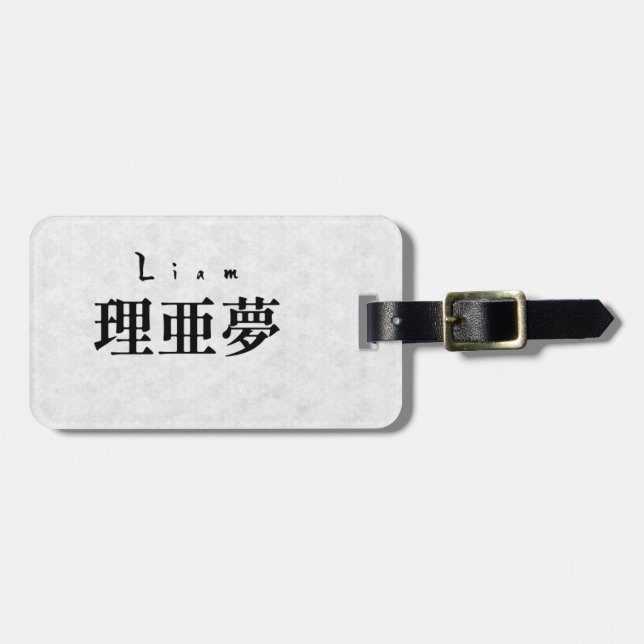 Personalized Liam Japanese Kanji Name Luggage Tag (Front Horizontal)