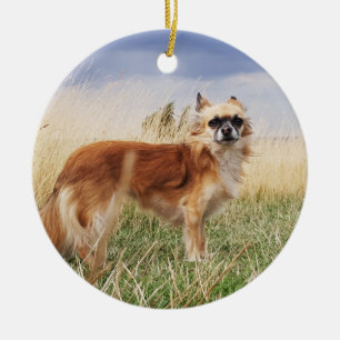 Personalized long haired chihuahua ceramic tree decoration