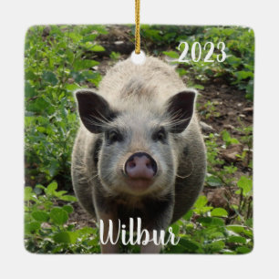 Personalized Mini Juliana Pet Pig  #2 Ceramic Ornament