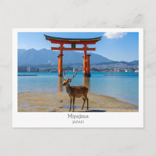 Personalized, Miyajima, Japan Postcard
