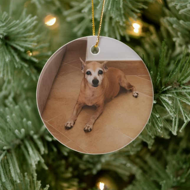 Personalized Name And Photo Pet Memorial Ceramic Tree Decoration (Tree)