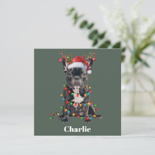 Personalized Name Christmas French Bulldog Dog Holiday Card