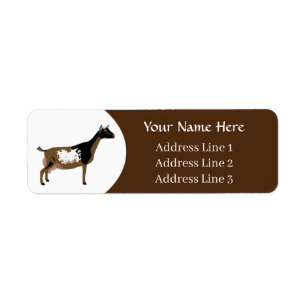 Personalized Nigerian Dwarf Dairy Goat
