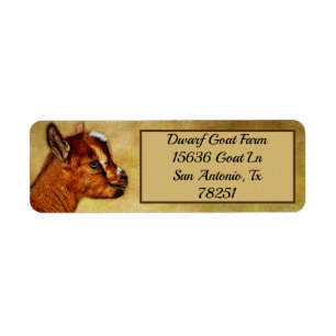 Personalized Nigerian Dwarf Dairy Goat Kid address