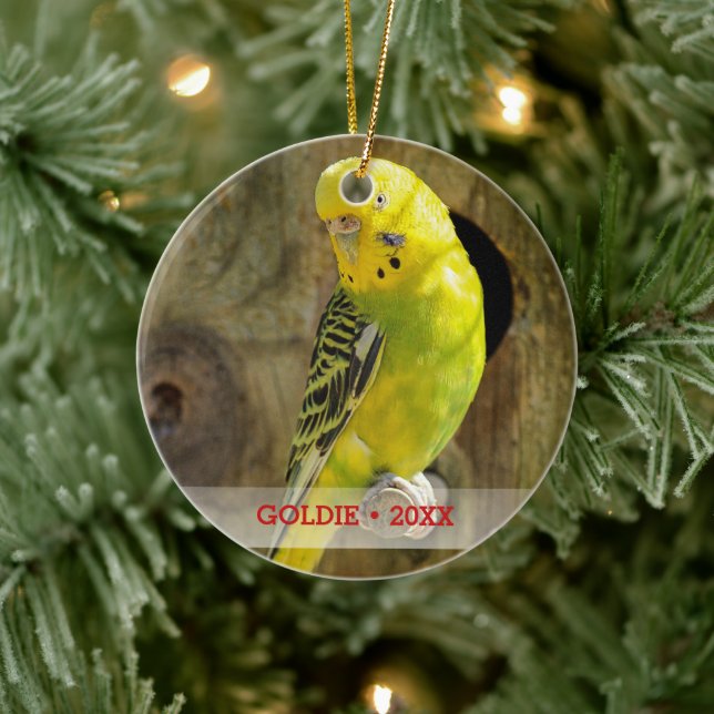 Personalized Pet Bird Photo & Name Christmas Tree Ceramic Tree Decoration (Tree)