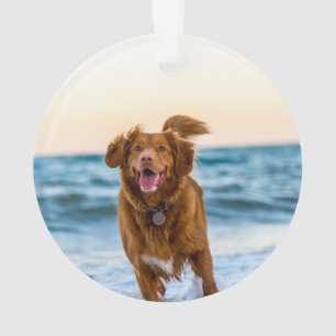 Personalized Pet Christmas Ornaments
