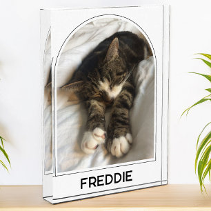 Personalized Pet Name Modern Arch Photo Block