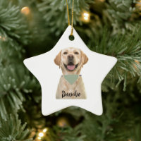 PERSONALIZED PET ORNAMENT 