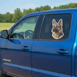 Personalized Pet Photo Car Window Sticker