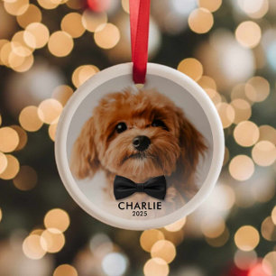 Personalized Pet Photo Christmas Ornament Keepsake