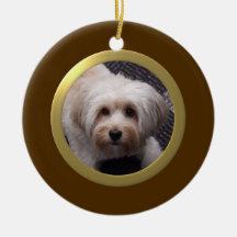 Personalized Pet Photo Frame (Brown/Gold)