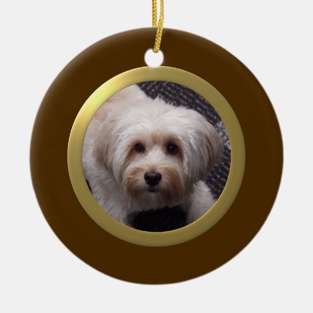 Personalized Pet Photo Frame (Brown/Gold) Ceramic Tree Decoration (Front)