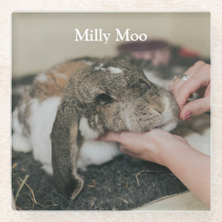  Personalized Pet Photo  Glass Coaster