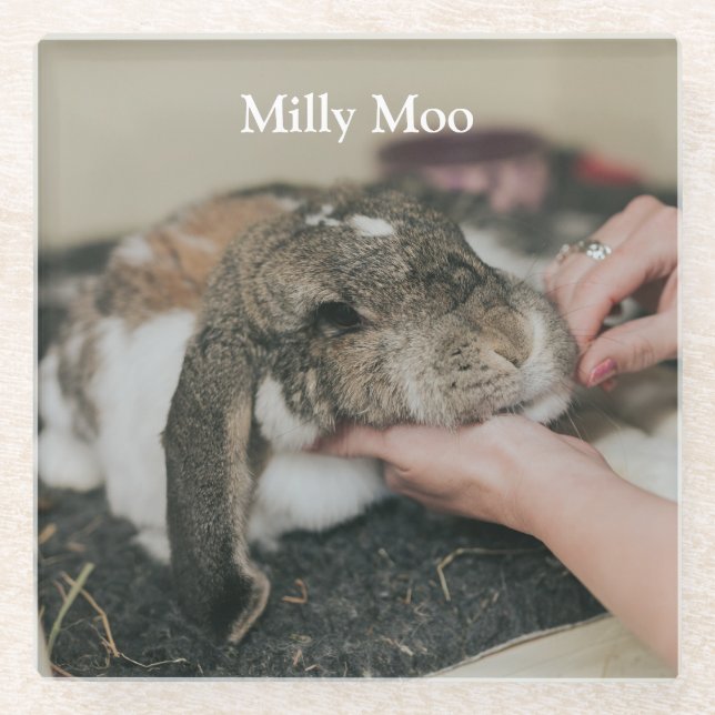  Personalized Pet Photo  Glass Coaster (Front)